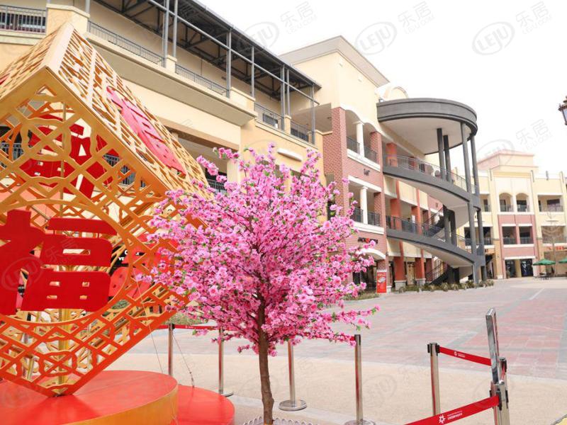 文峰国旅安阳城，位置在安阳市中华路836号，预估价格为6500。