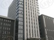 IT国际俱乐部