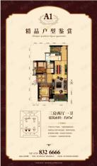 湛江万达广场A1户型户型图