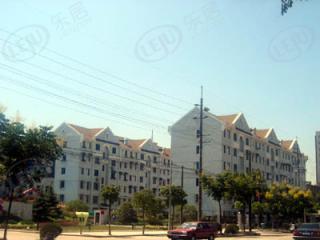 通波新村
