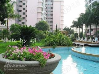 东城中心