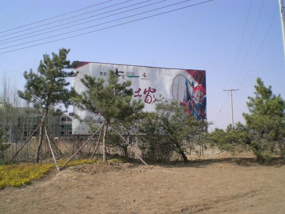 效果图