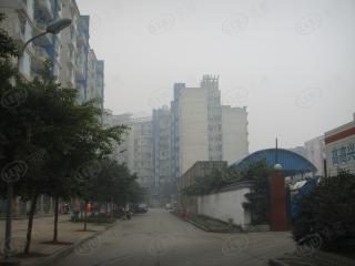 金城丽景