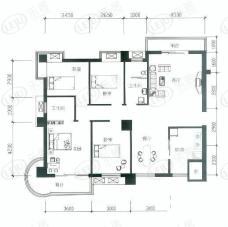 领秀城二期房型: 四房;  面积段: 144.51 －164 平方米;户型图