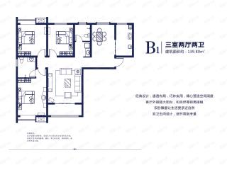 开州·城投佳园B1户型户型图