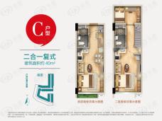 碧桂园溪畔名苑3室2厅2卫户型图