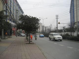 天彩·菁华