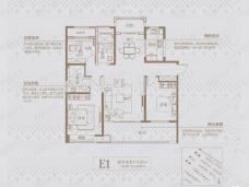 华源翠湖湾E1户型户型图