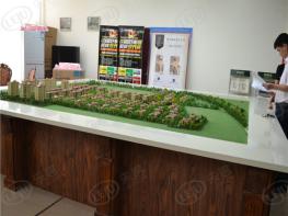 建新梧桐墅社区实景