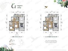 龙湖礼嘉星座森屿C1户型户型图