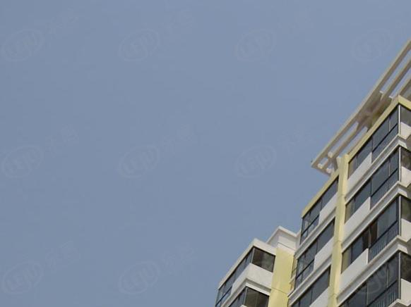 社区实景