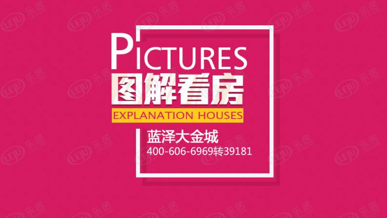 蓝泽大金城 图解看房