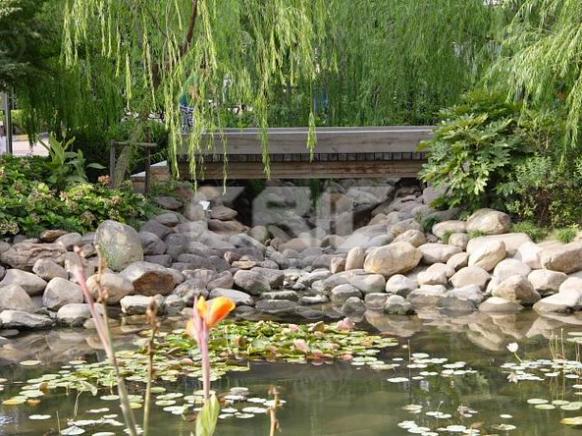 社区实景