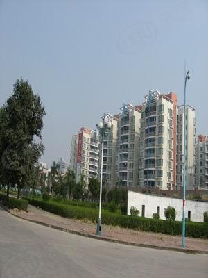 社区实景