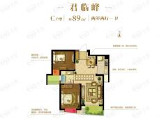 朗诗新郡君临峰C户型户型图