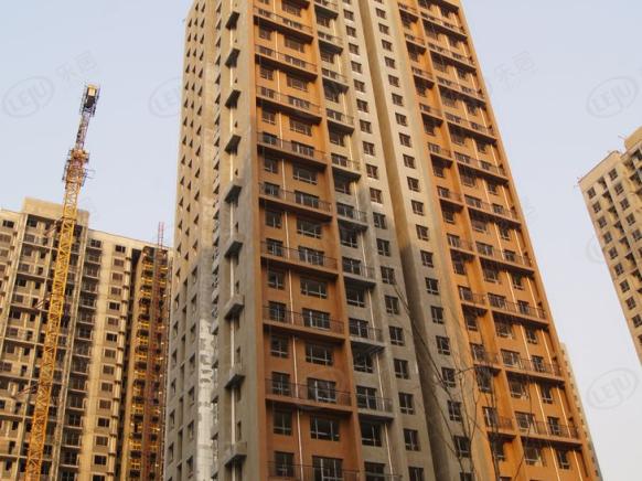 社区实景