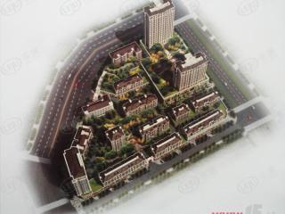 紫金国际
