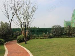 万科红郡西岸社区实景