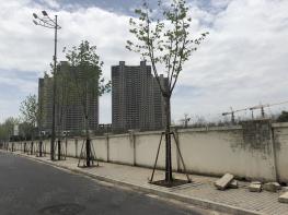 香港嘉华南站G89地块社区实景