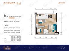 华晨神农湾览悦2室2厅1卫户型图