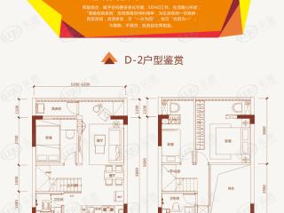 文景电商科技谷阿里公馆米先生的“+”D-2户型户型图
