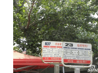 金色丽城