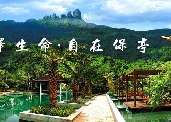 效果图