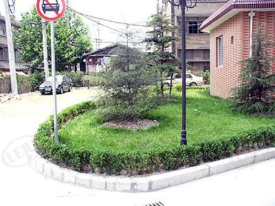 社区实景