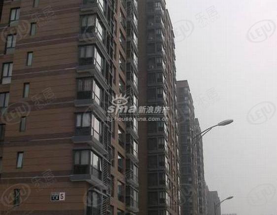 社区实景