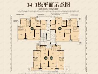 九华新城14-1栋平面示意图户型图