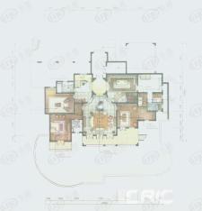 圣安德鲁斯庄园地下一层-独栋别墅-559.63平米-1套户型图