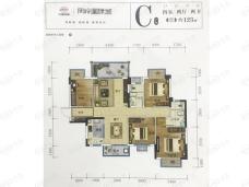 中国铁建凤岭国际城C户型户型图