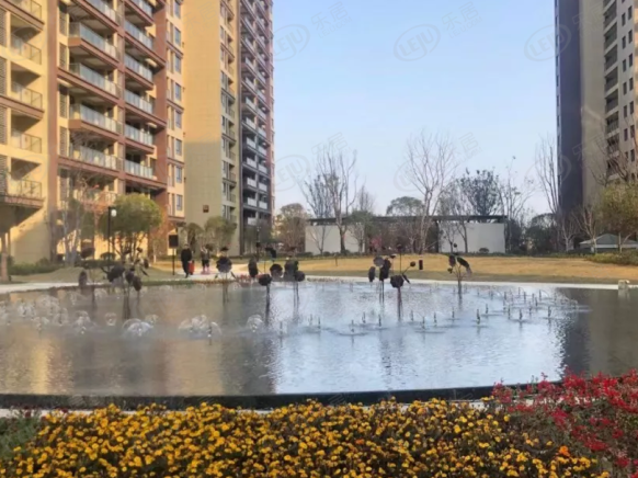 社区实景