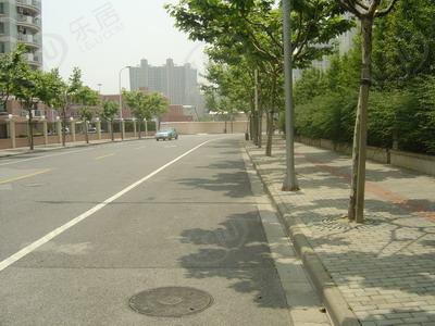 社区实景