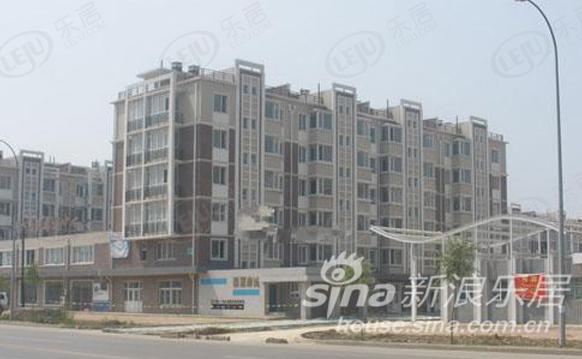 社区实景