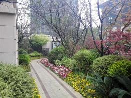 悦岚山花园社区实景