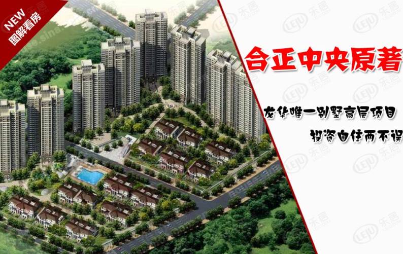 合正中央原著 图解看房