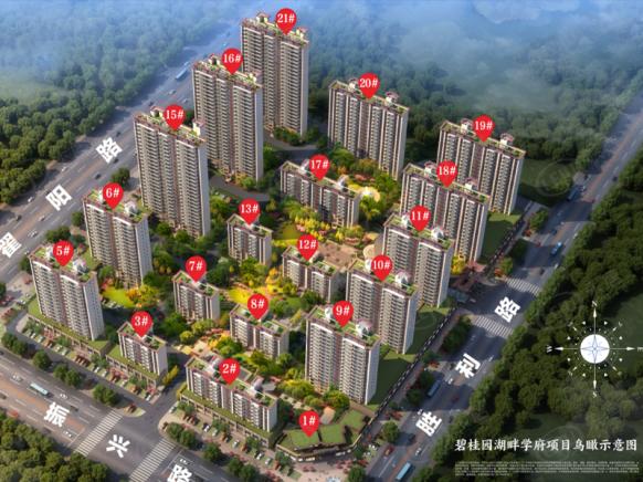 效果图