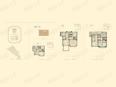 碧桂园湖光山色类独栋户型户型图