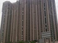 阳明新城