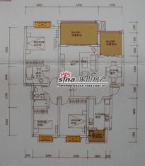 峨眉滨湖国际户型图