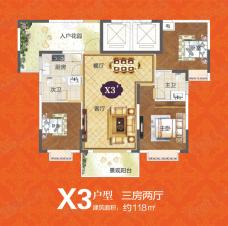 华申滨江国际新城电梯房 X3户型 三室两厅两卫118㎡户型图