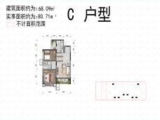 川发芙蓉天府C户型户型图