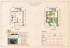 珠江云锦M户型户型图