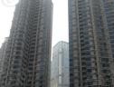 社区实景