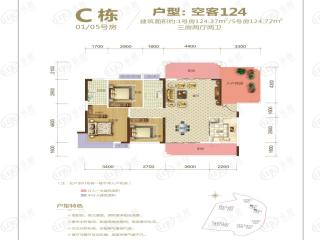 临武碧桂园紫宸澜山C栋空客124户型户型图