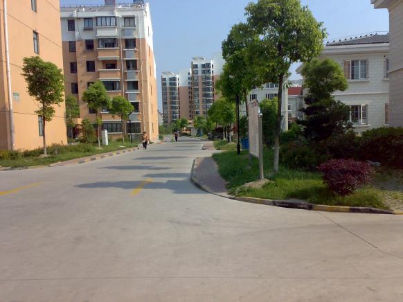 社区实景