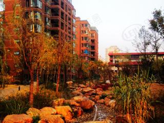 丽岛漫城