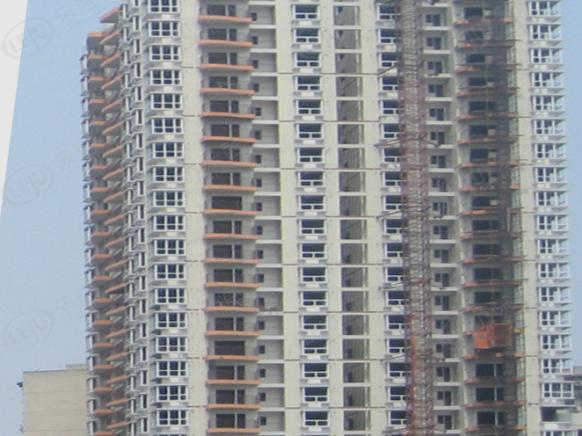 社区实景