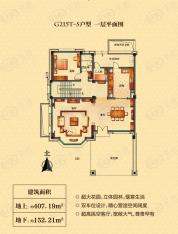 碧桂园天玺湾G215T-S户型一层平面图 11室3厅5卫户型图